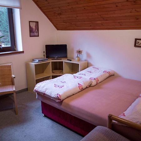 Apartment Harrachov/Riesengebirge 2400 Екстер'єр фото