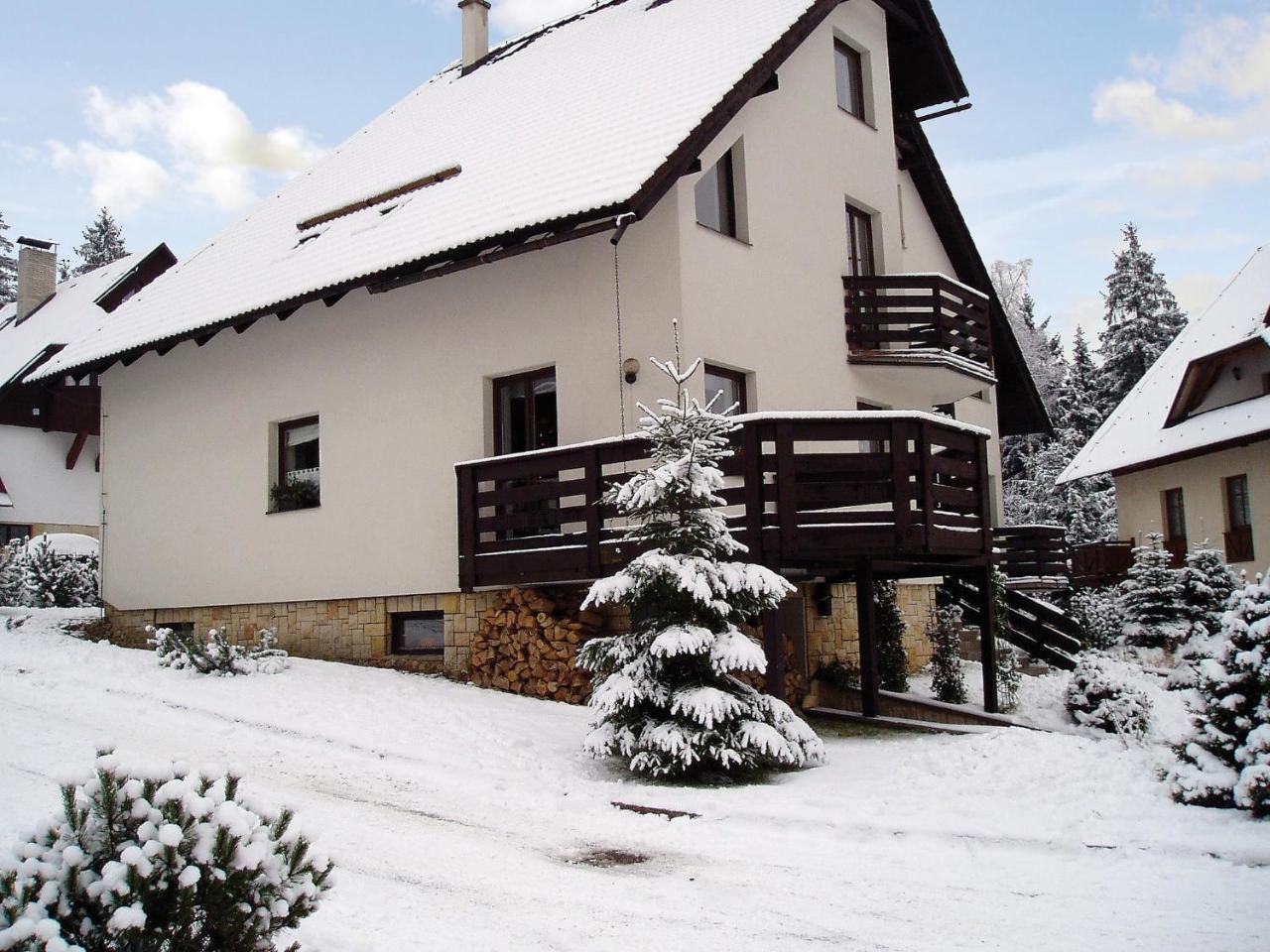 Apartment Harrachov/Riesengebirge 2400 Екстер'єр фото